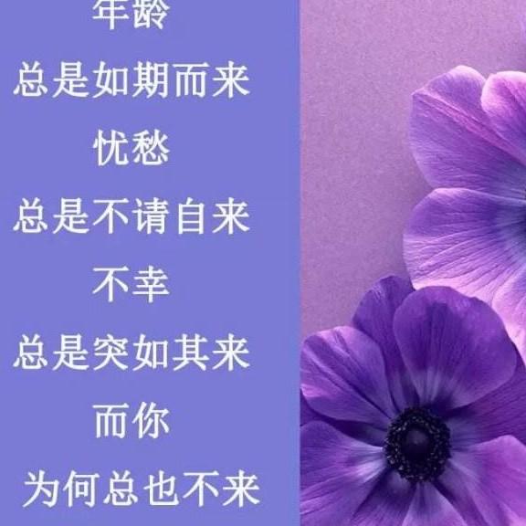情归何外