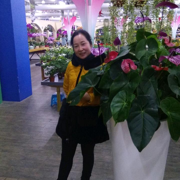 小鱼儿