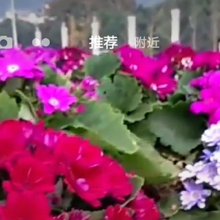 用户8615美美哒1美美，美美哒，美美哒