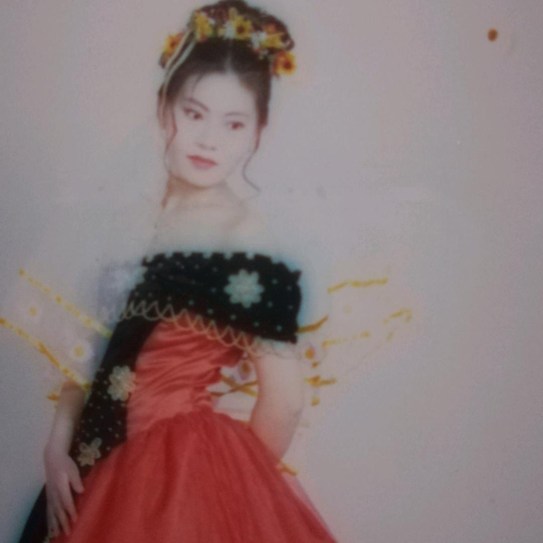 机关汽修自由飞翔