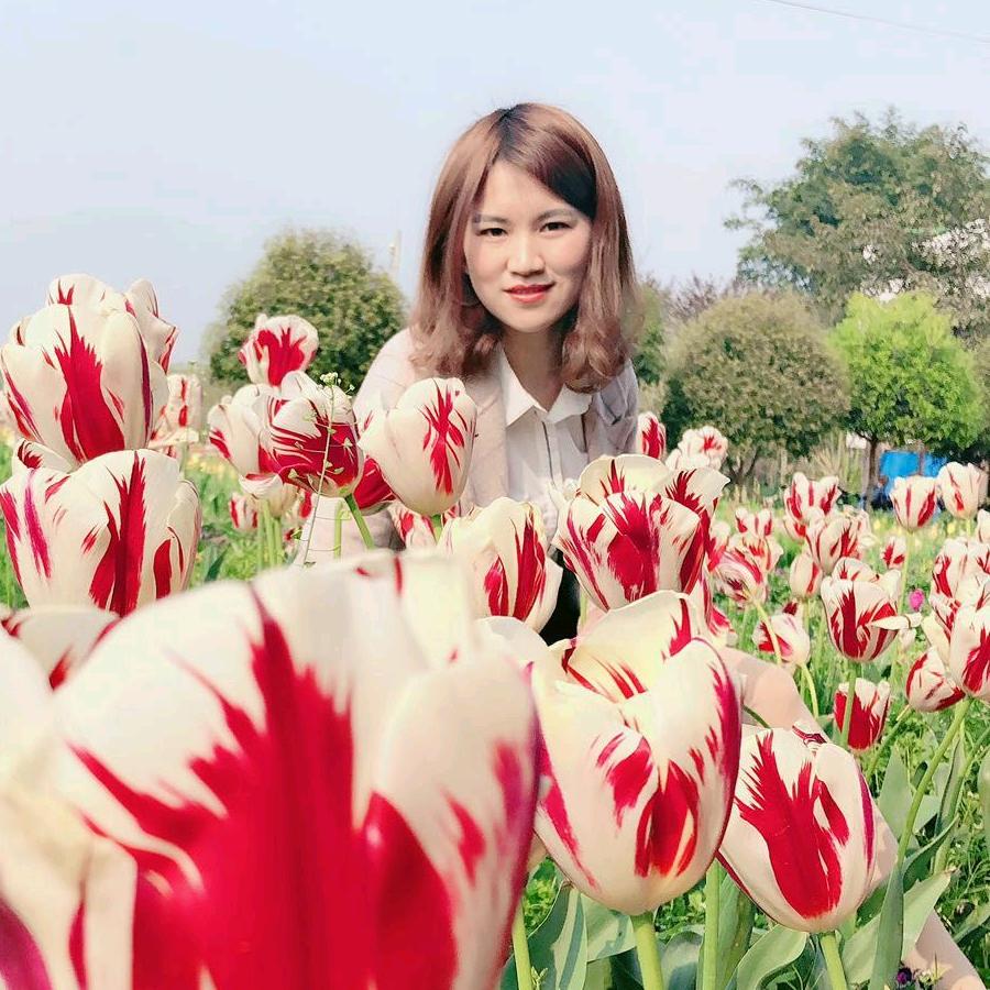 憨憨妹