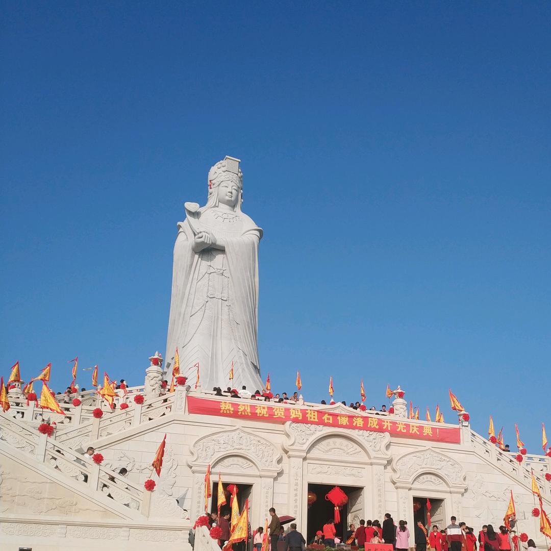 图哥就是我