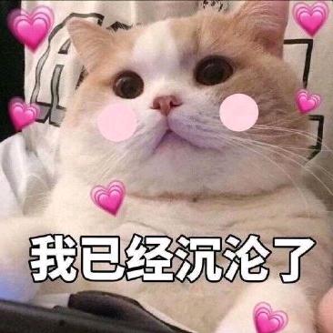 耶嗨