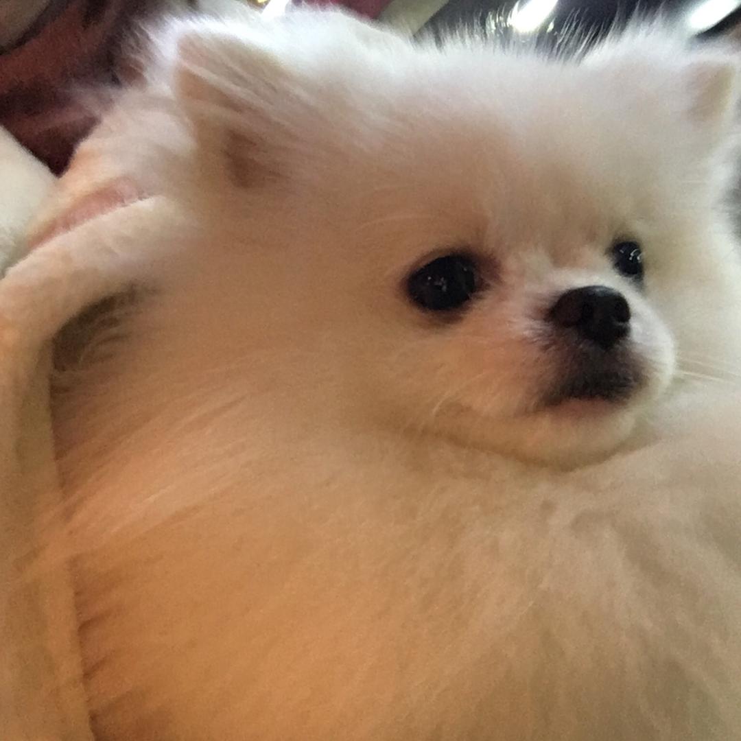 丝丝