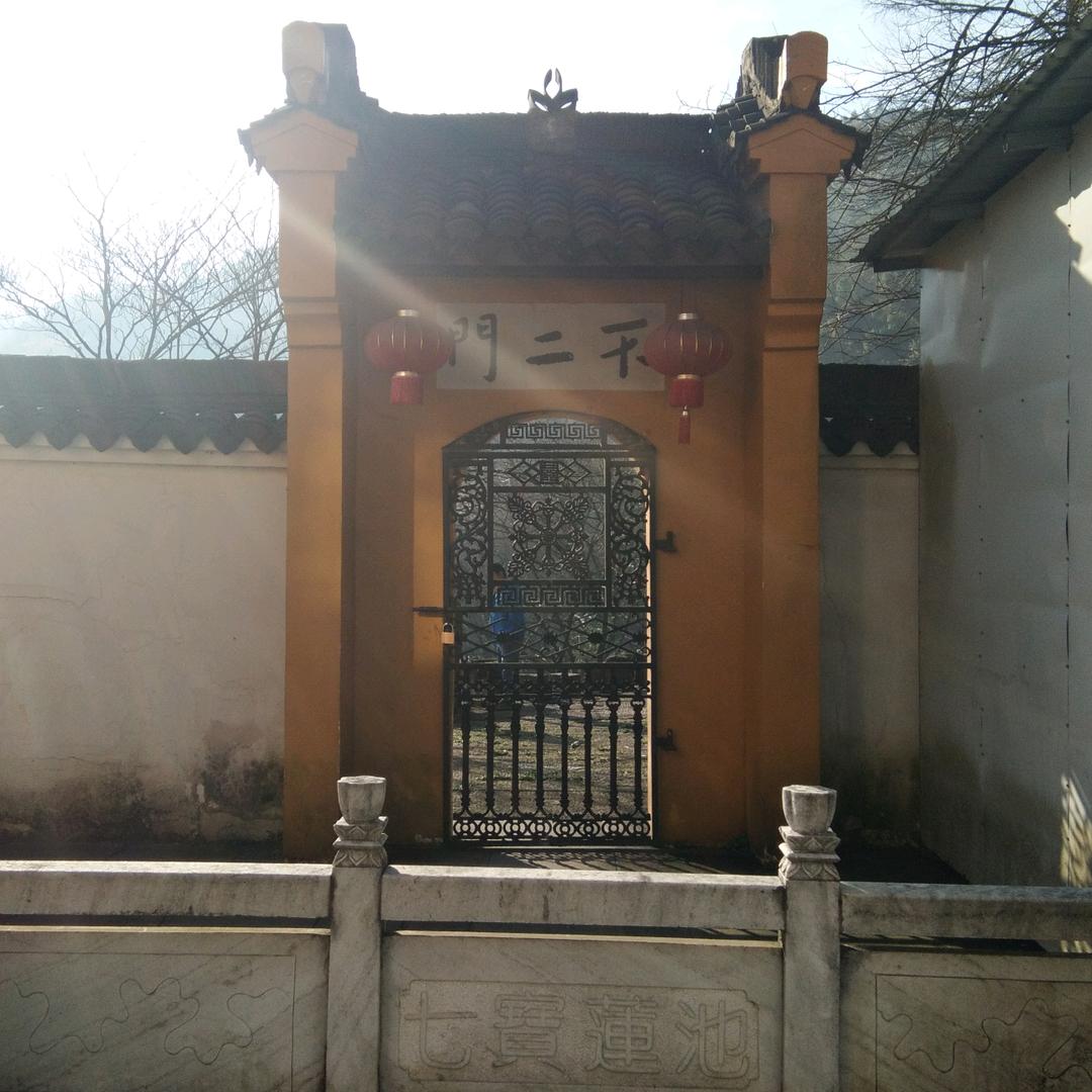 九华山凤凰松