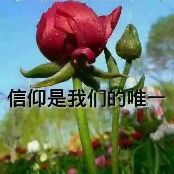锁爱