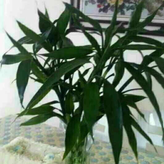 平凡的幸福拒闲聊，合拍