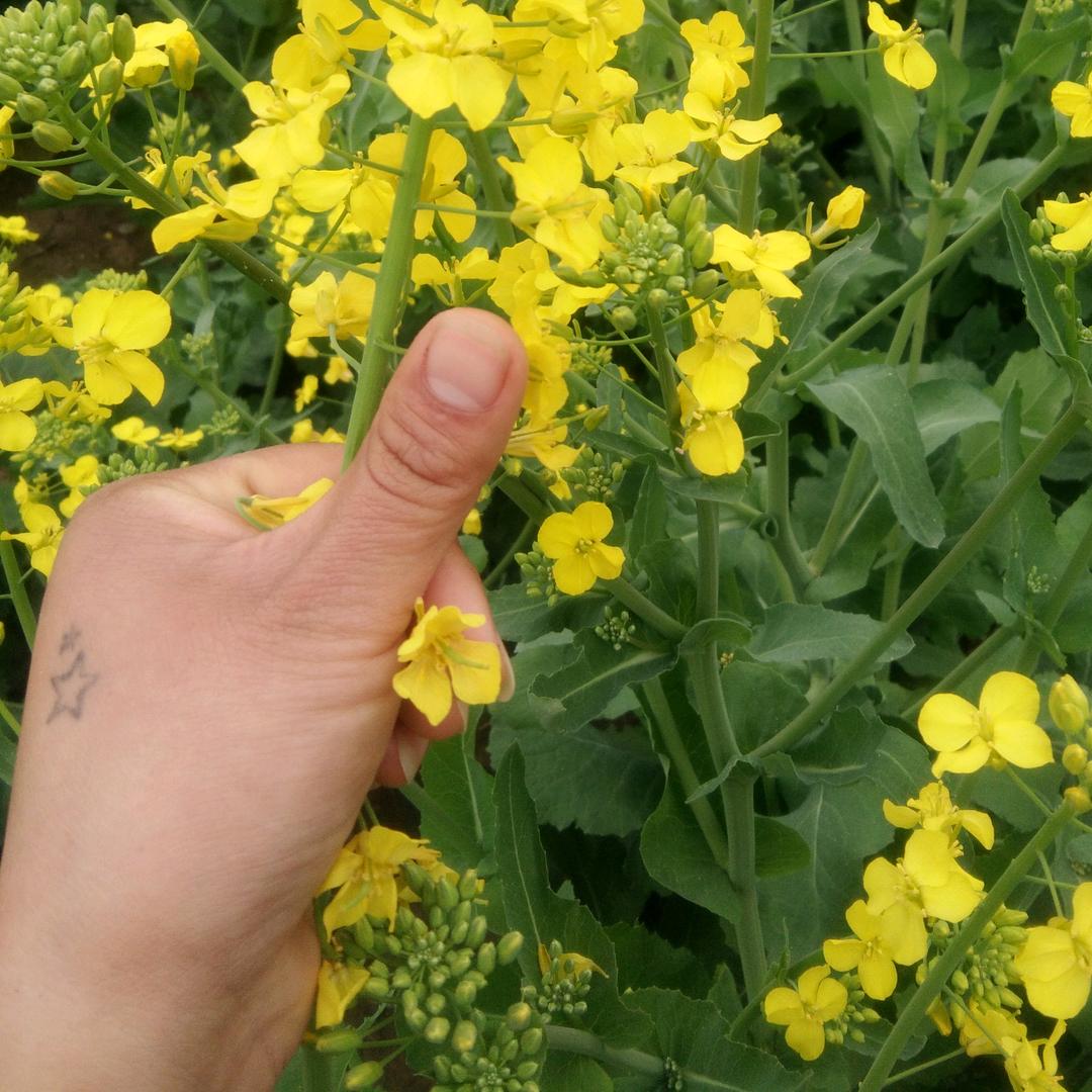 餘苼ジ卟將乆——