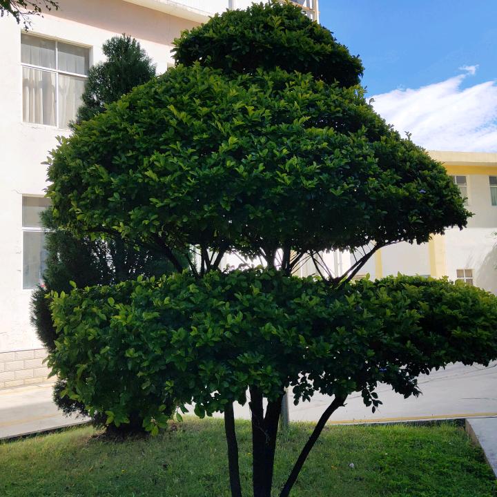 云南临沧小宝贝