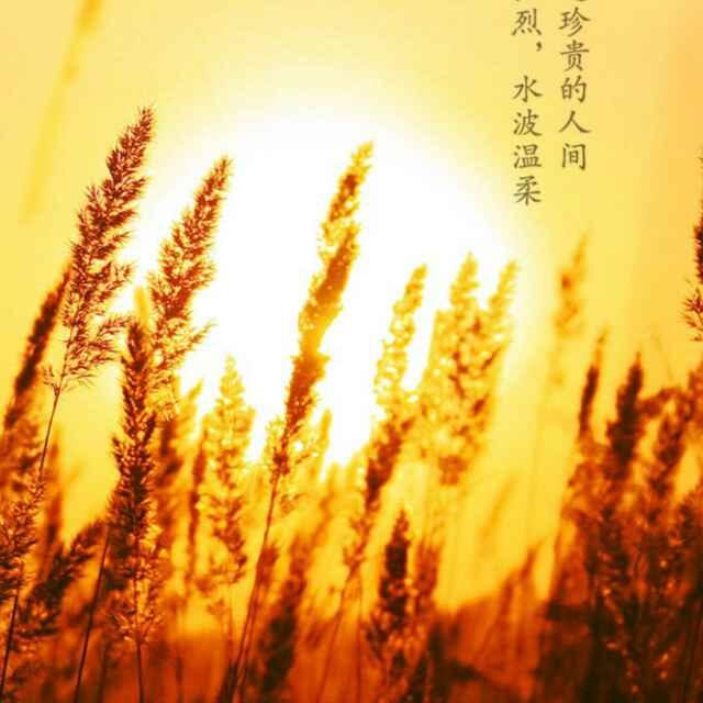 任我行_165121回收旧衣服旧电器，