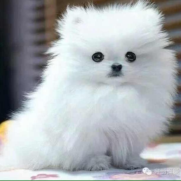 独守一人心❤️