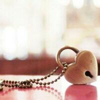 寻找爱的港湾365