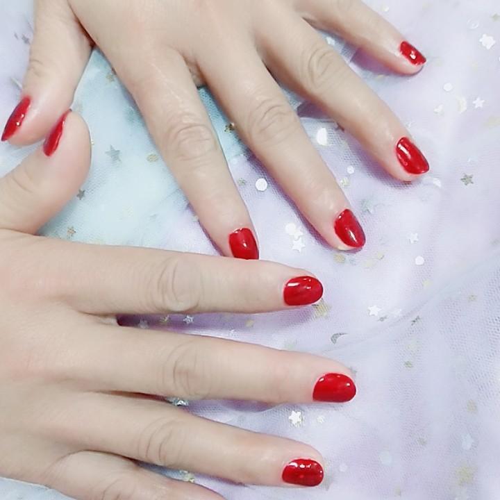 ⭐北方星⭐
