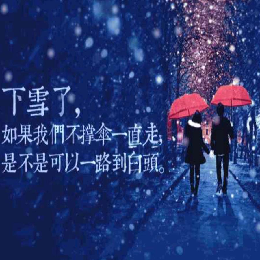 【宋】年轻真好