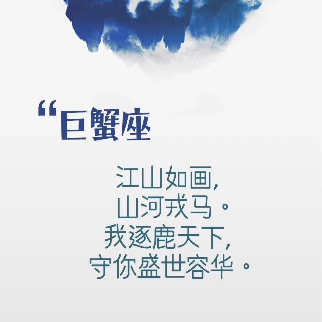 @树哥
