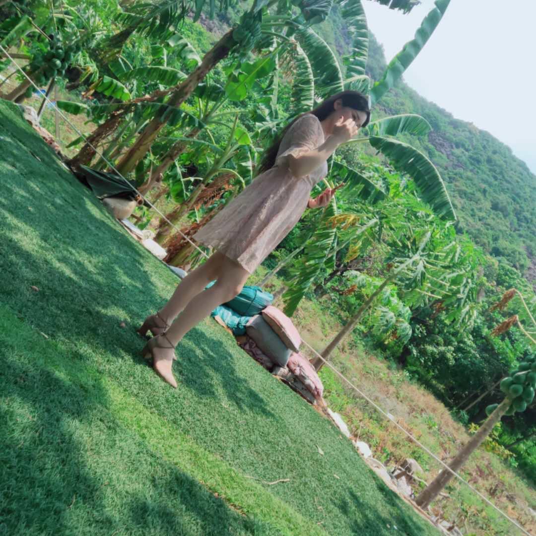 仙缘再续