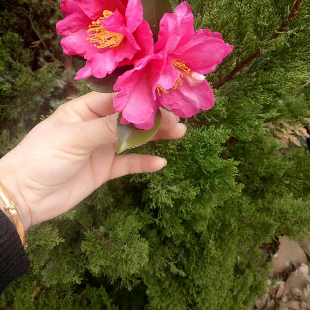 家人平安健康最重要👍拒绝私聊拒绝私聊