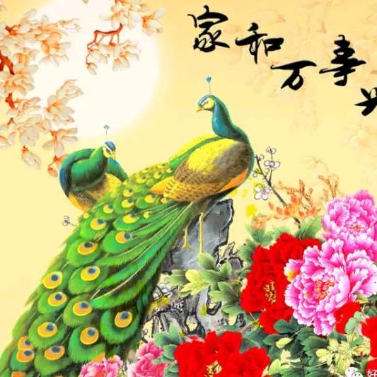 最贵是健康