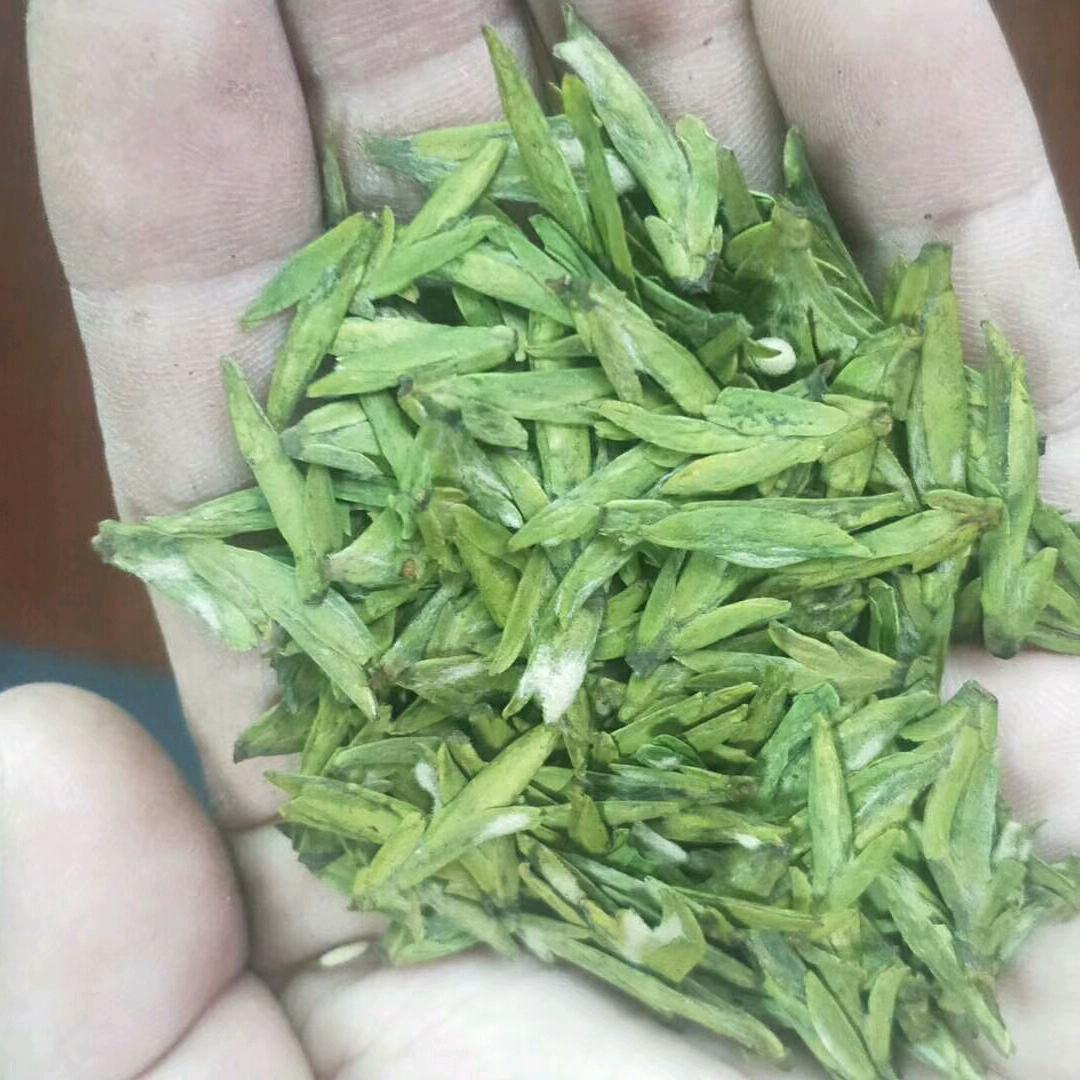 高山茶叶产地
