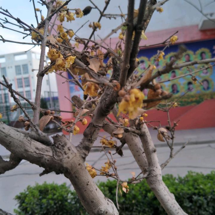 全家福