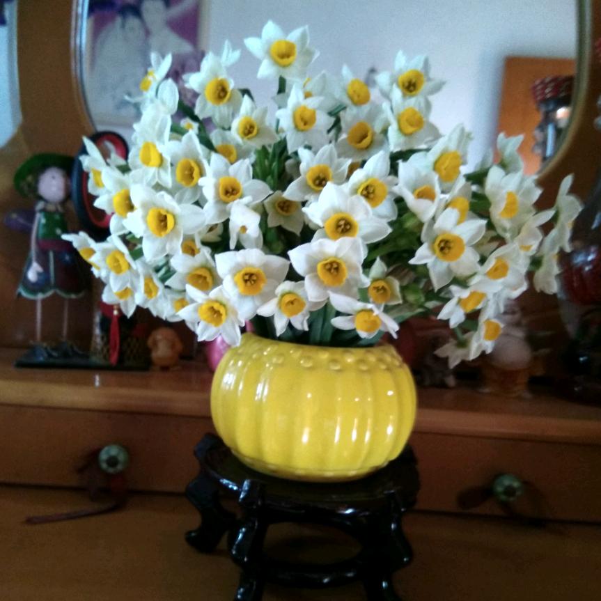 开心就好🌻🌻🌷🌷🌴🌴