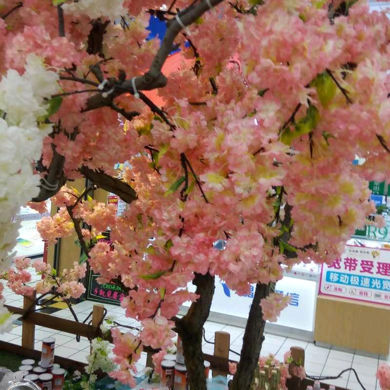不忘初心