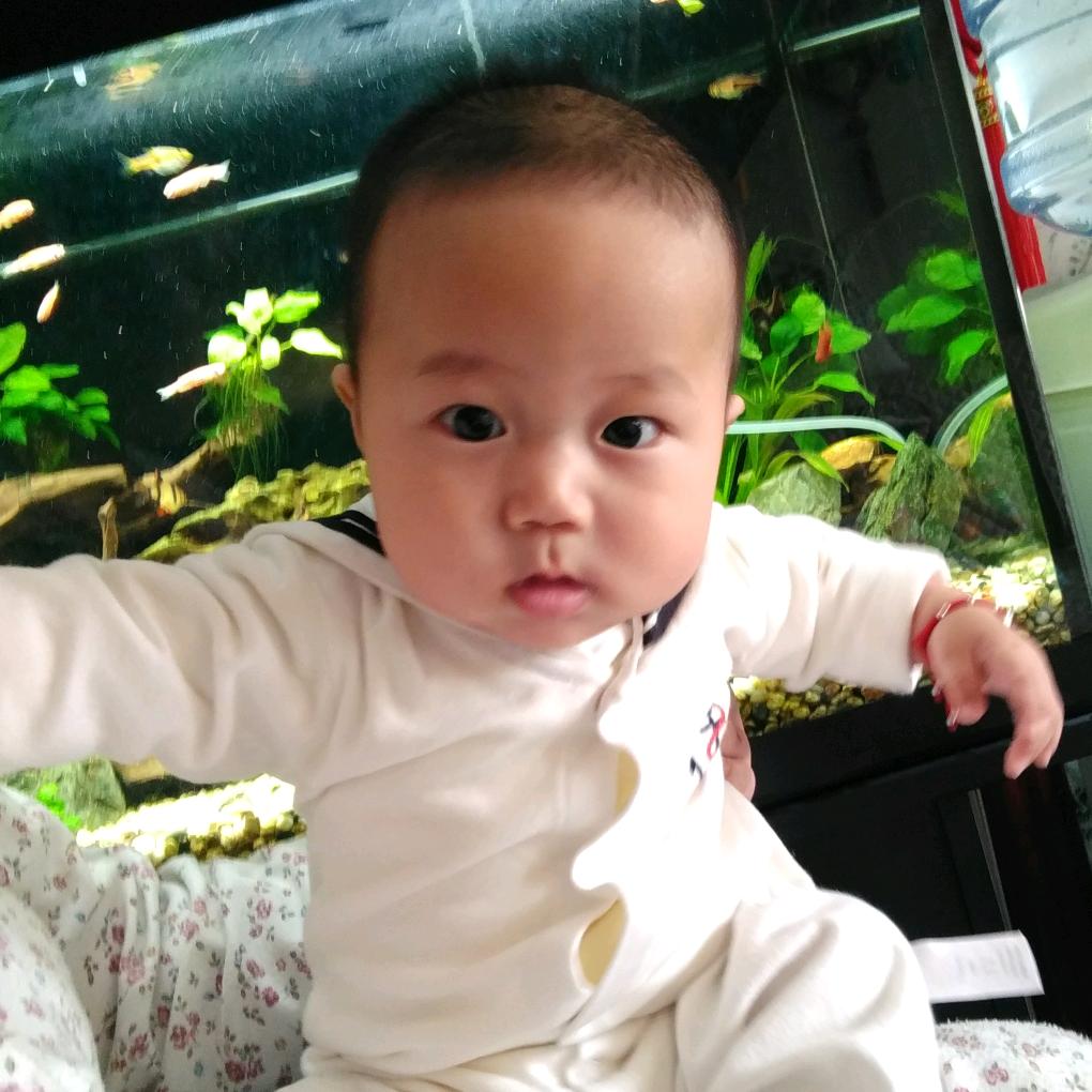 娇Jiao