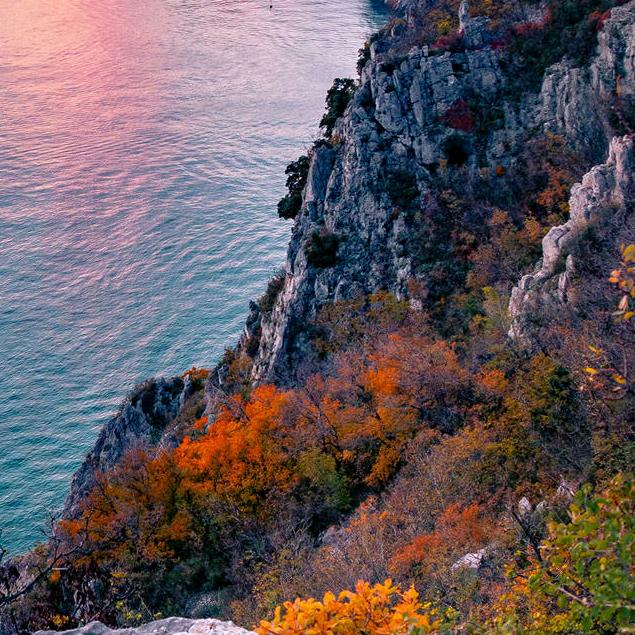 🐎飞祥💥🦂(❤ε❤)