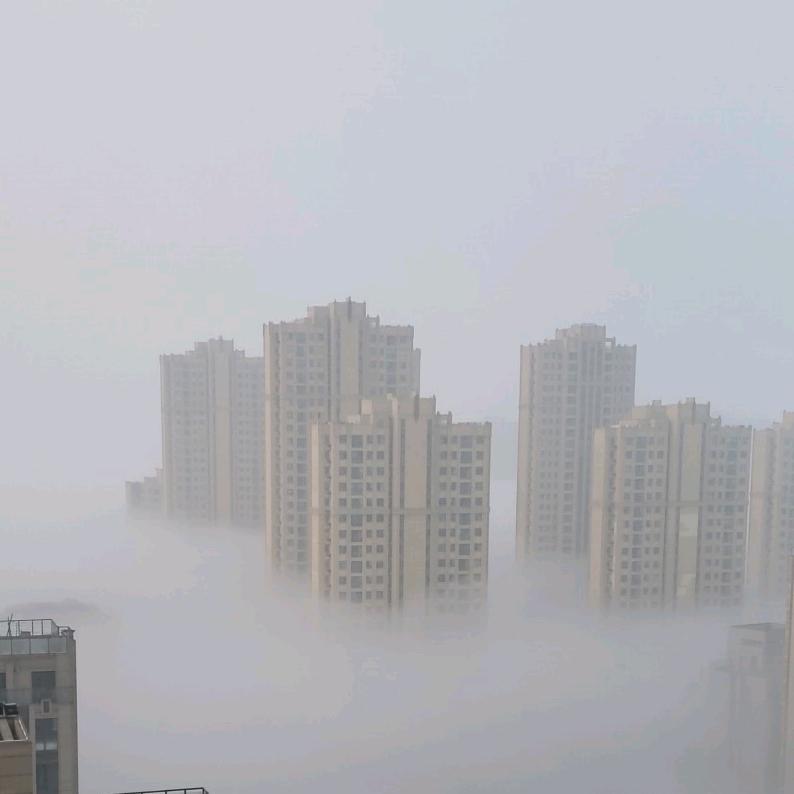 伴风望海