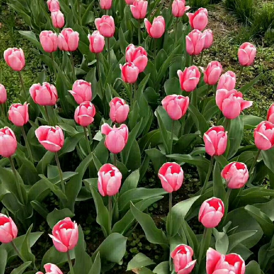 冬天的爱（68年🐵）拒绝私聊