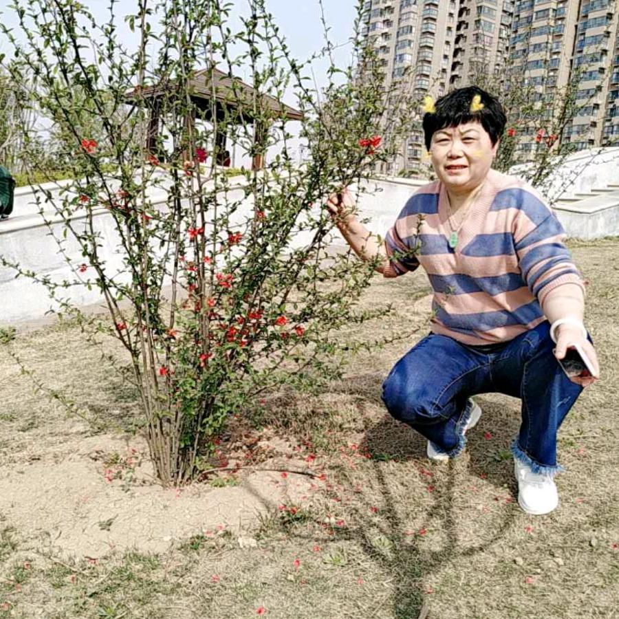 守护