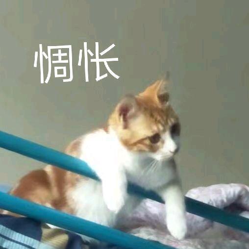 裹上面包糠