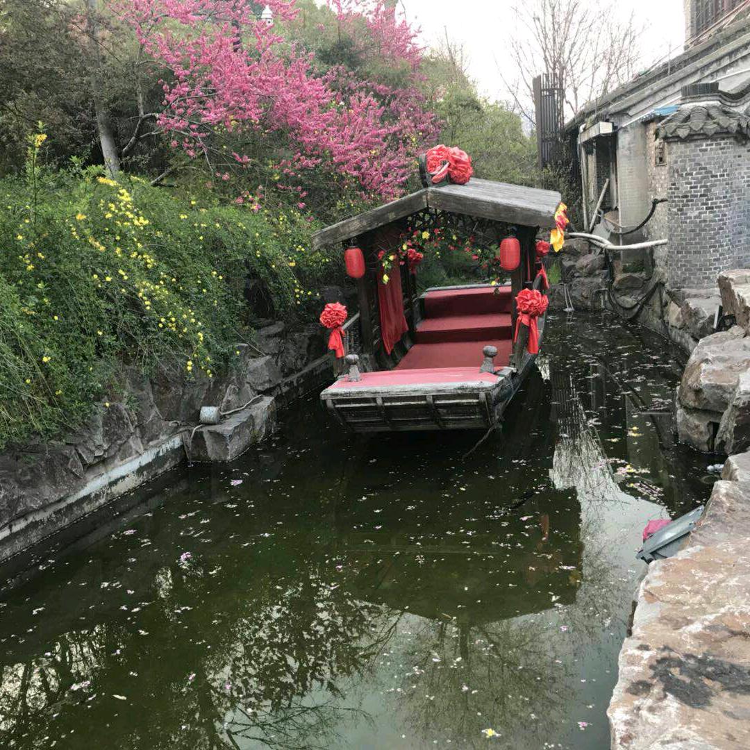 冬天一枝梅