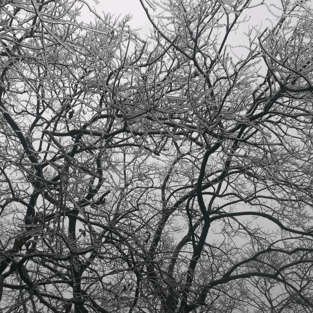 临汝镇旧水坑美发  清洗家电