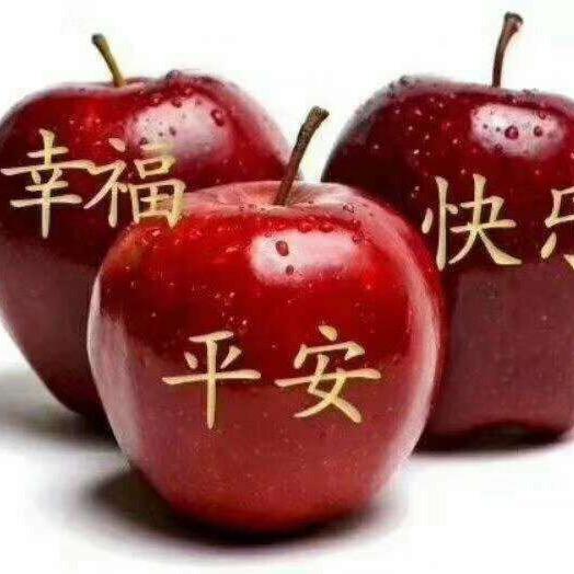 快乐女人（拒私聊）