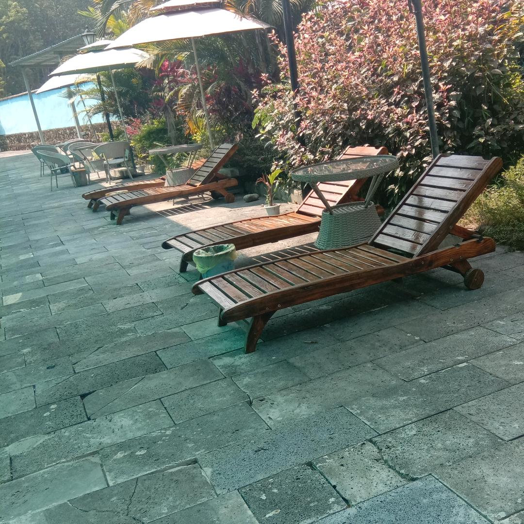 飞发走思