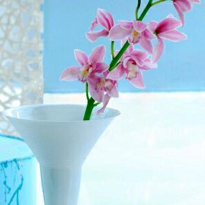 蓝翔驾校薛教练