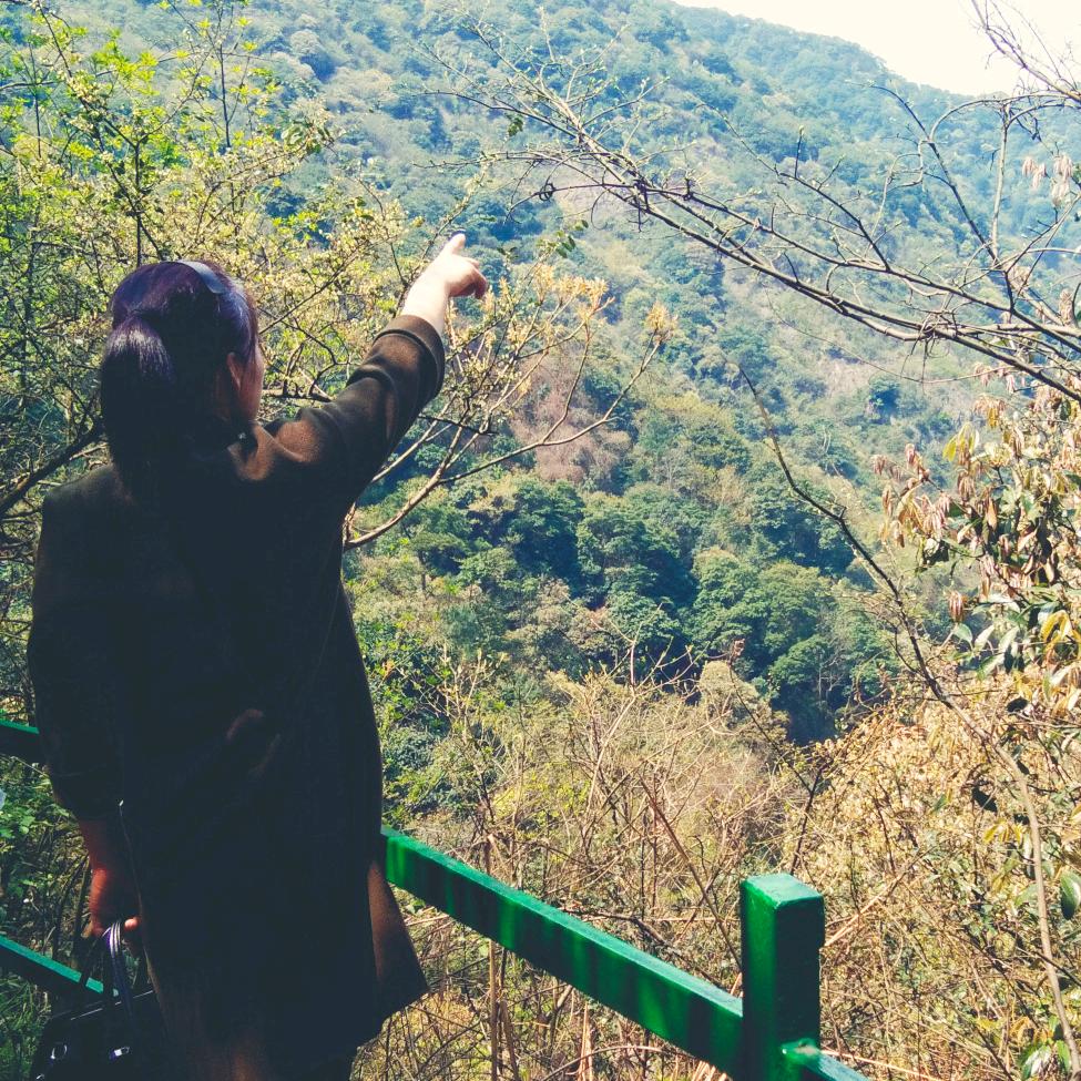 颖上垂岗墩黄村