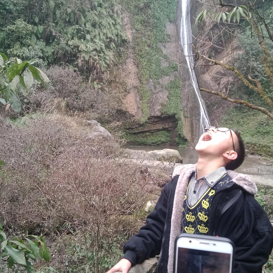 随光而行