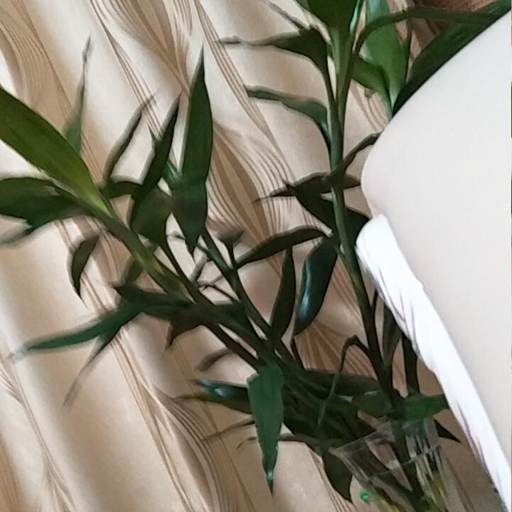 自由自在