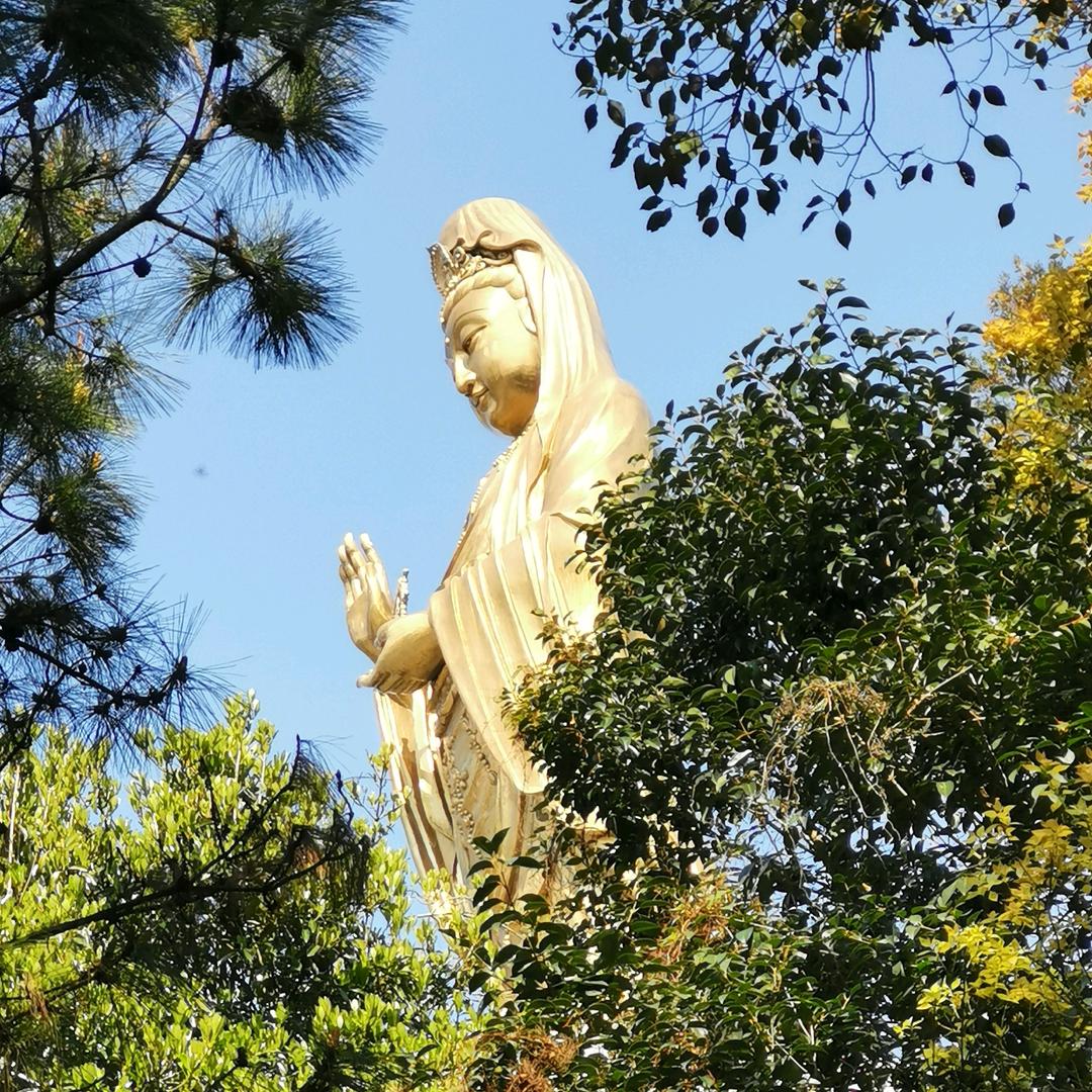 林霞
