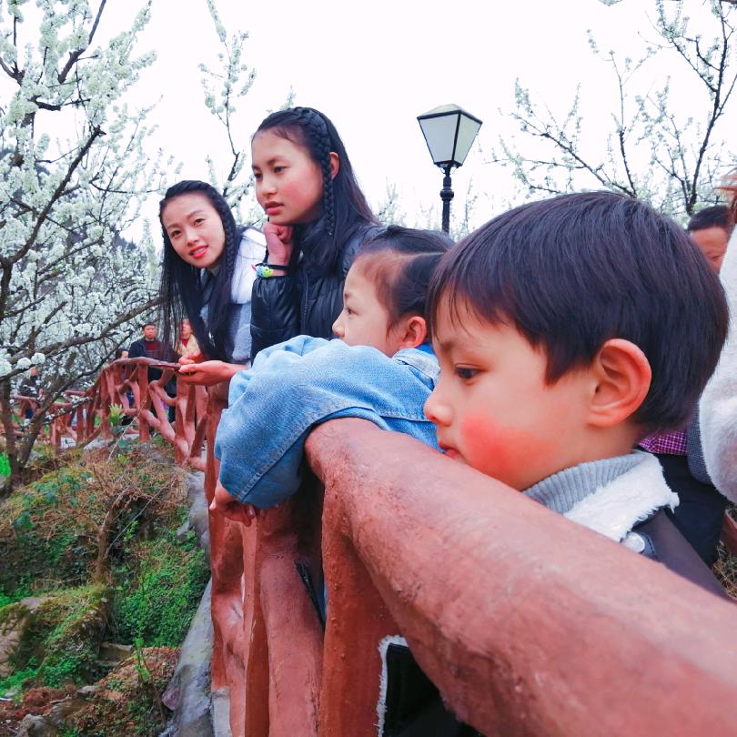 思州 轻素栖花里