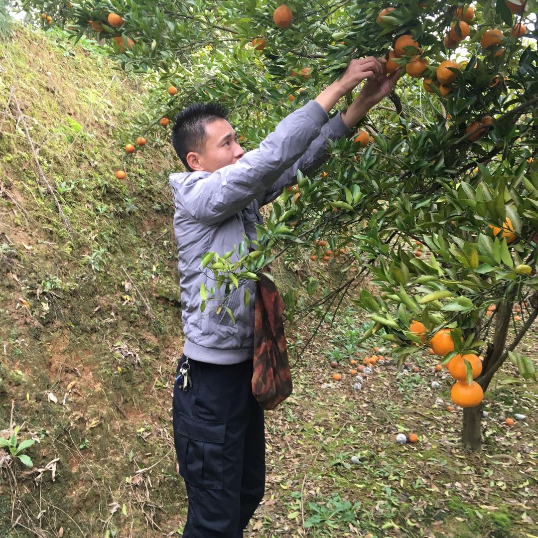 爱我中华