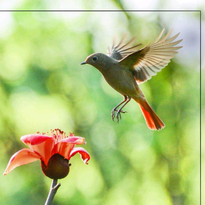 玉华❤️大金空调❤️热爱生活🍃