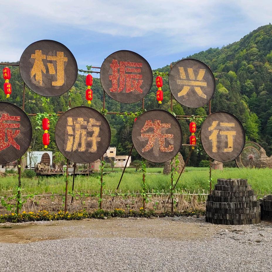 橙兴橙轶