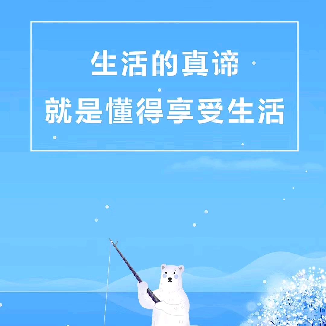 会跑的球球