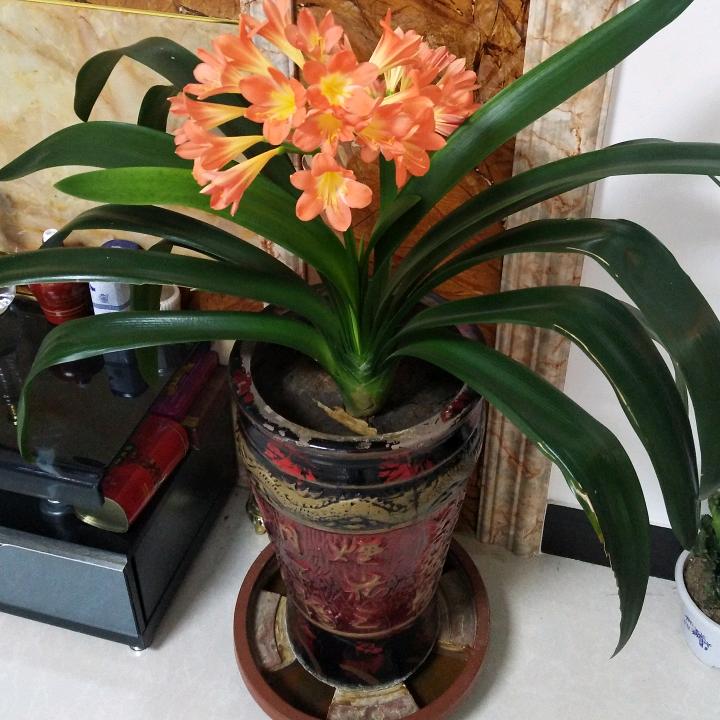 幸福快乐