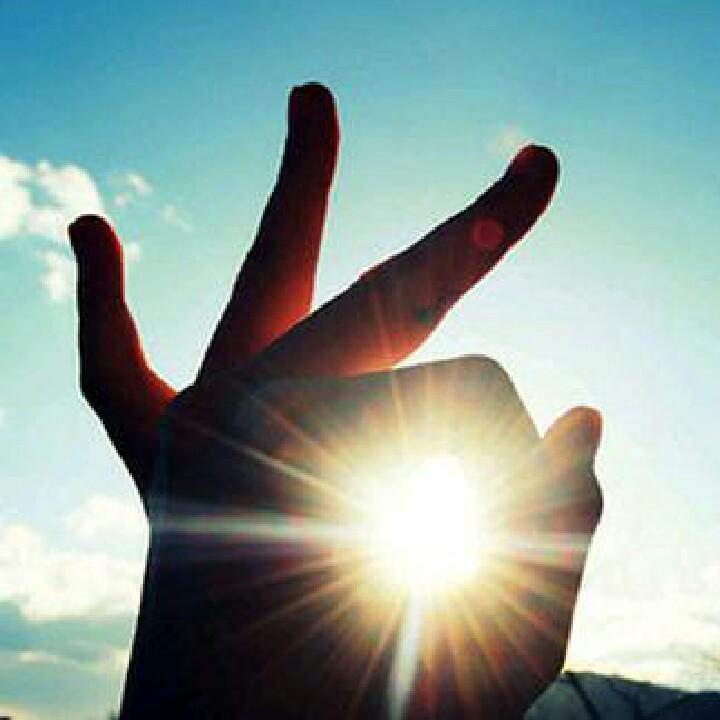 🌸岁月静好🌸