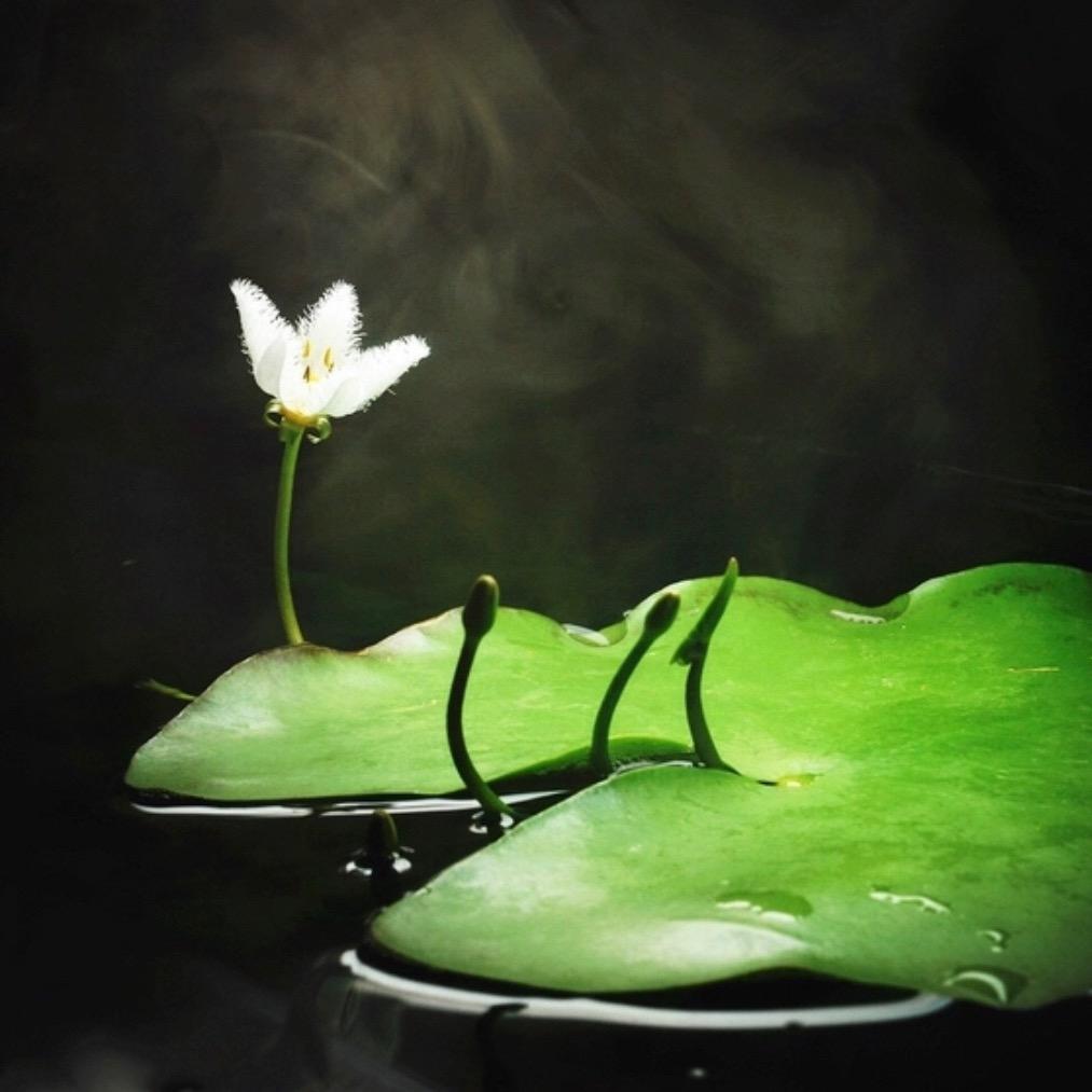 一叶斋#70后的艺术生活