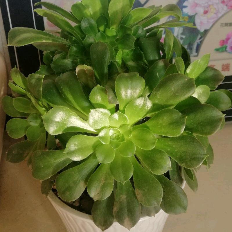 一生同行